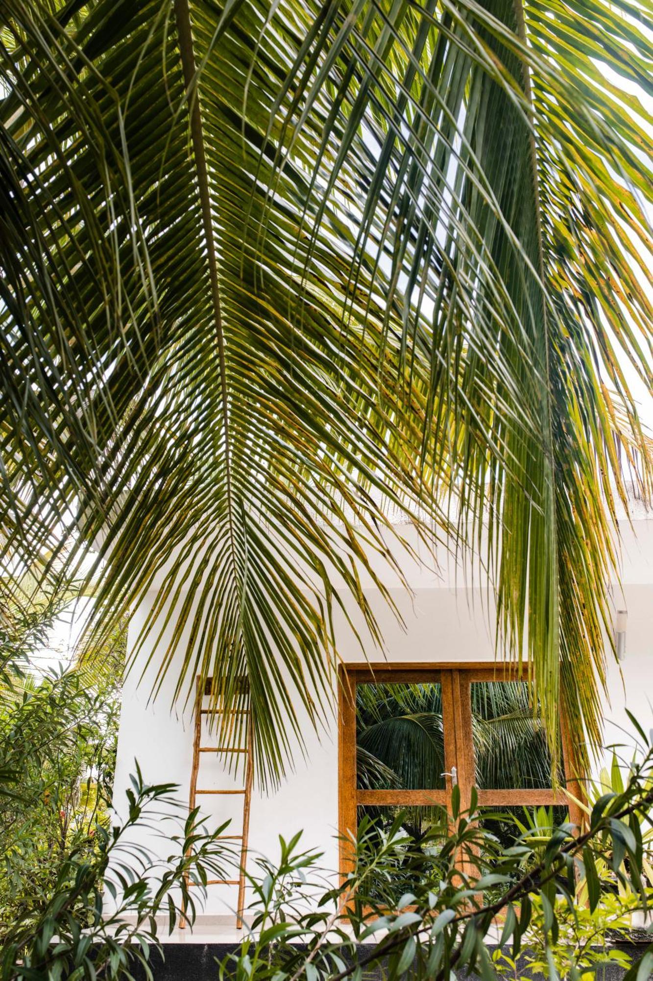 White Paradise Zanzibar Pongwe