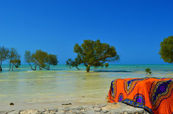 White Paradise Zanzibar Ośrodek wypoczynkowy Pongwe